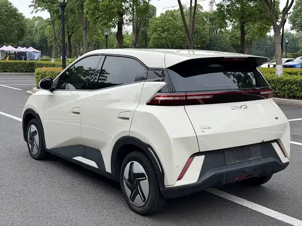 BYD Seagull 2024