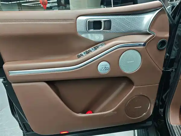 Tank 700 New Energy 2024