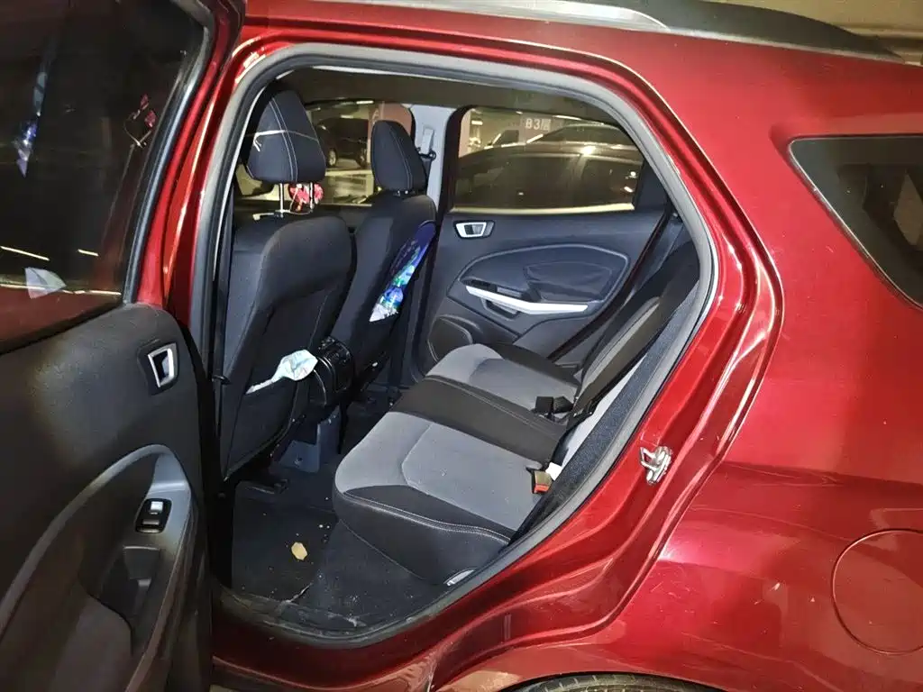 Ford Ecosport 2014 — фото 15