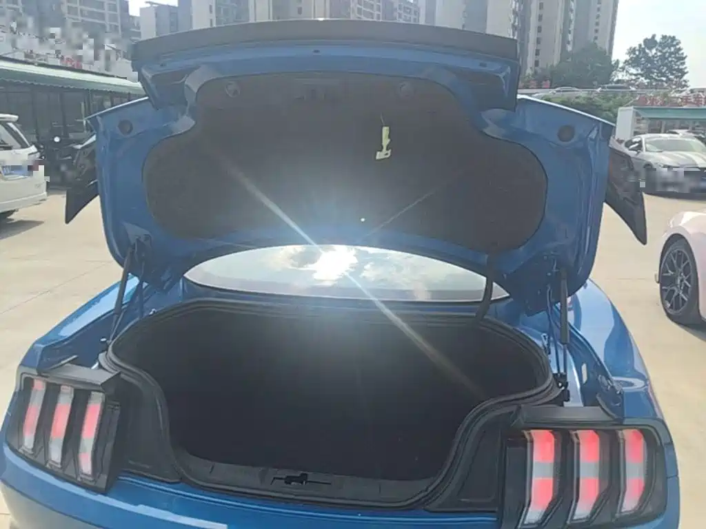 Ford Mustang 2020 — фото 19