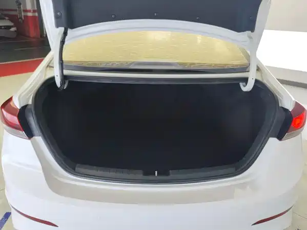 Hyundai Celesta 2016