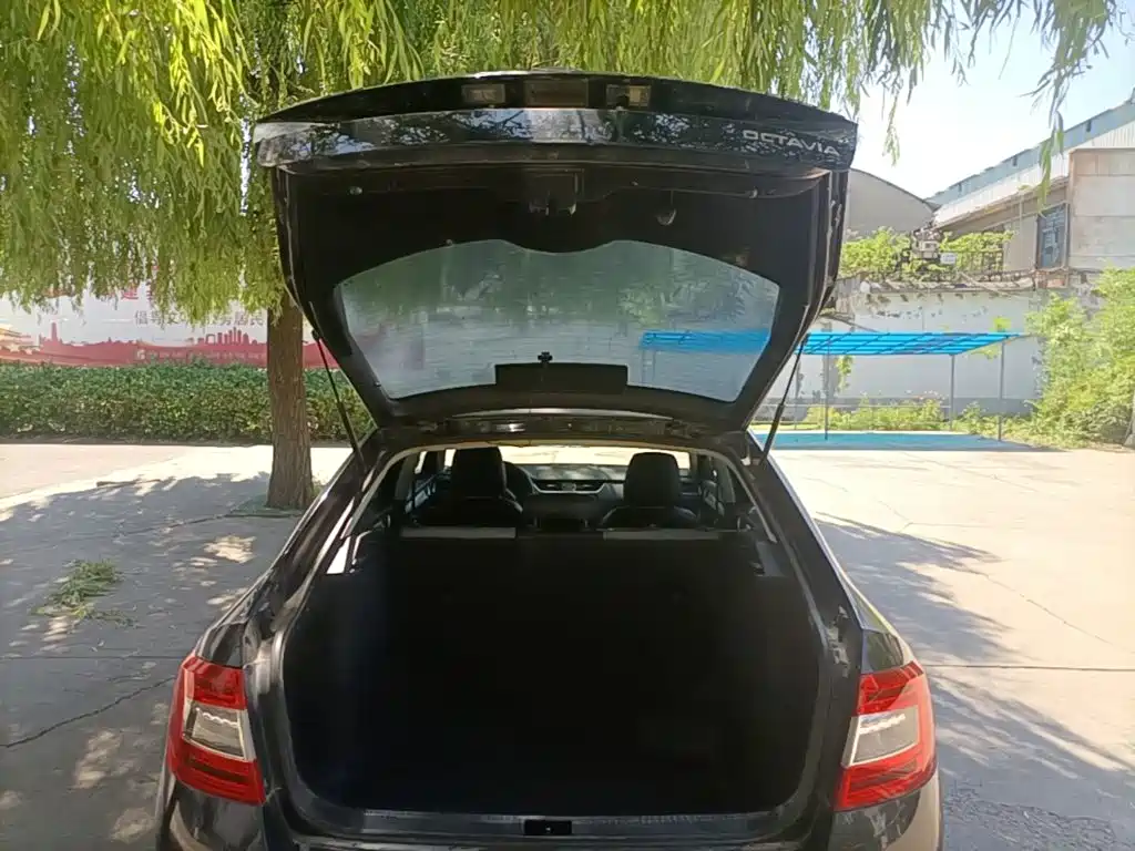 Skoda Octavia 2015 — фото 19