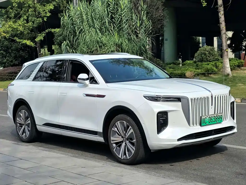 Hongqi E-HS9 2022 — фото 3