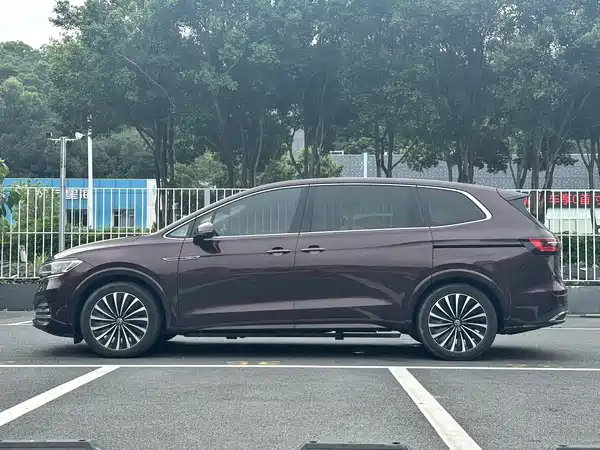 Volkswagen Viloran 2020