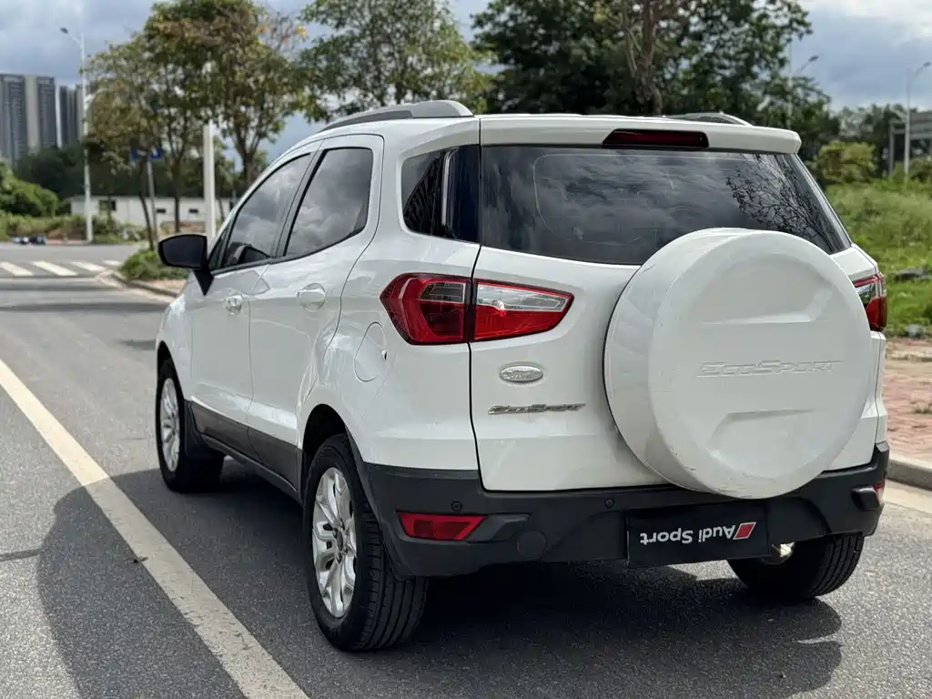 Ford Ecosport 2013 — фото 11