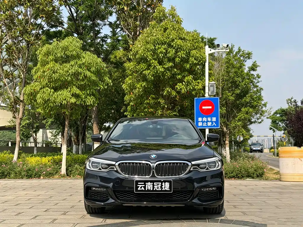 BMW 5 Series 2019 — фото 2