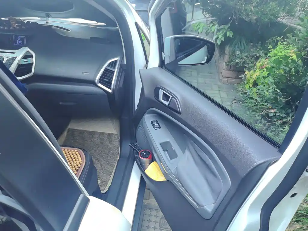 Ford EcoSport 2015 — фото 20
