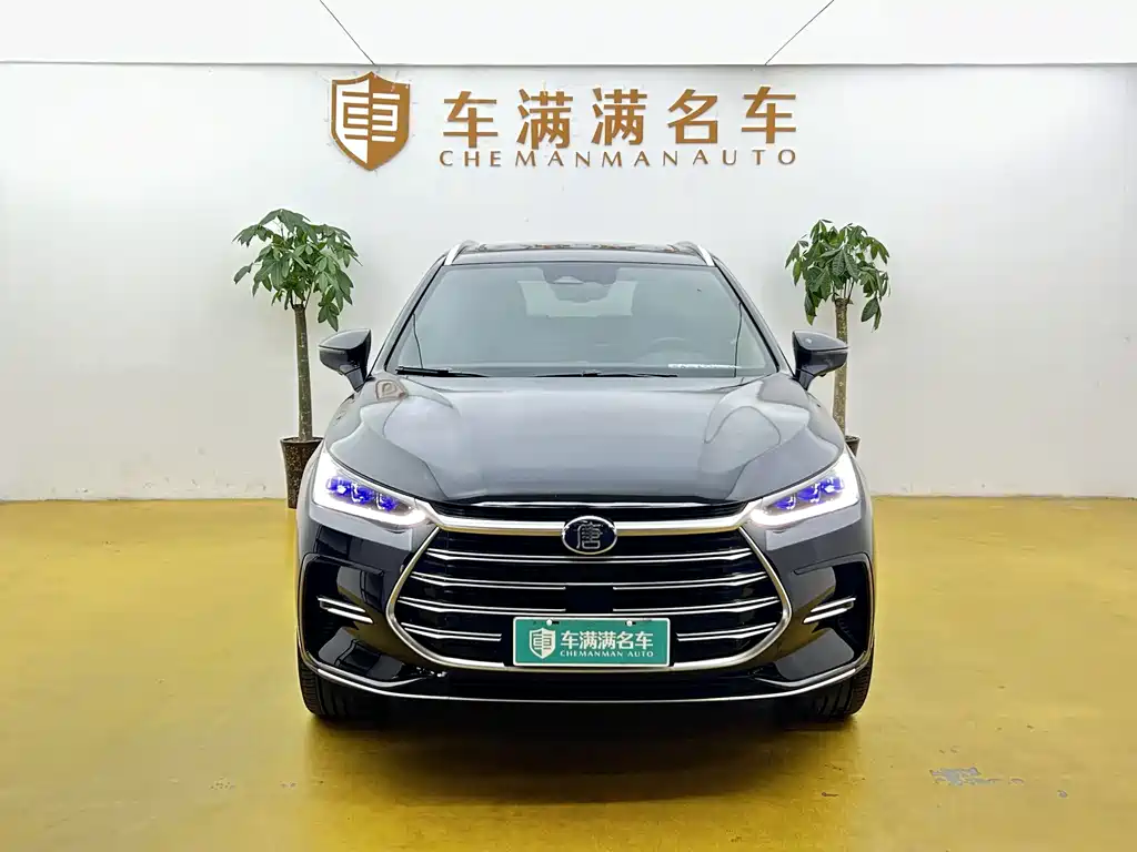 BYD Tang New Energy 2023 — фото 2