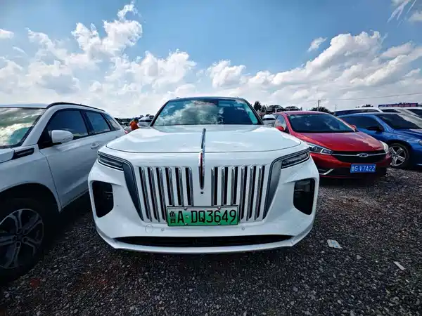 Hongqi E-HS9 2022