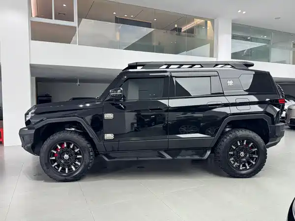 Mengshi 917 2023