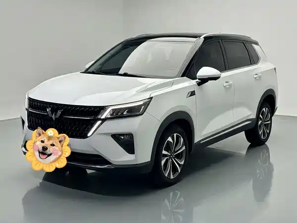 Wuling Star 2024