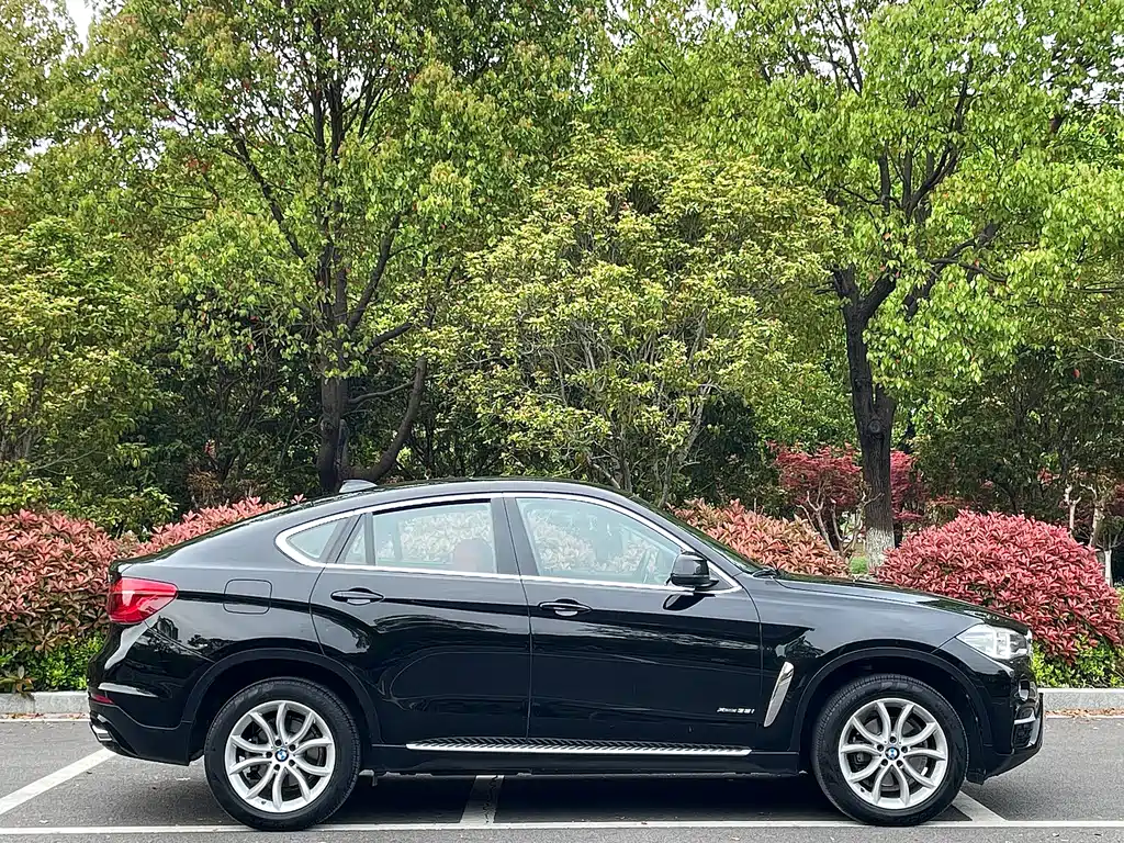 BMW X6 2017 — фото 4