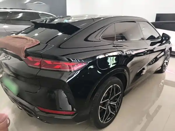 BYD Song L EV 2024