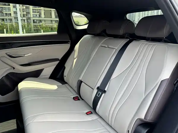 BYD Song PLUS New Energy 2024