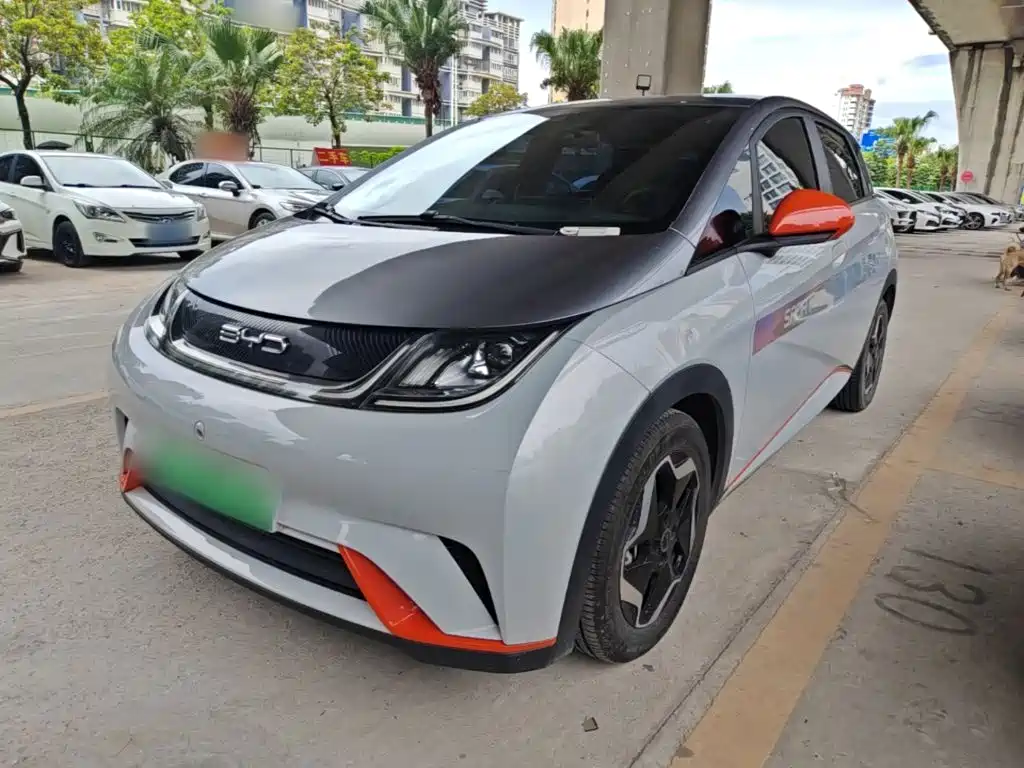 BYD Dolphin 2021