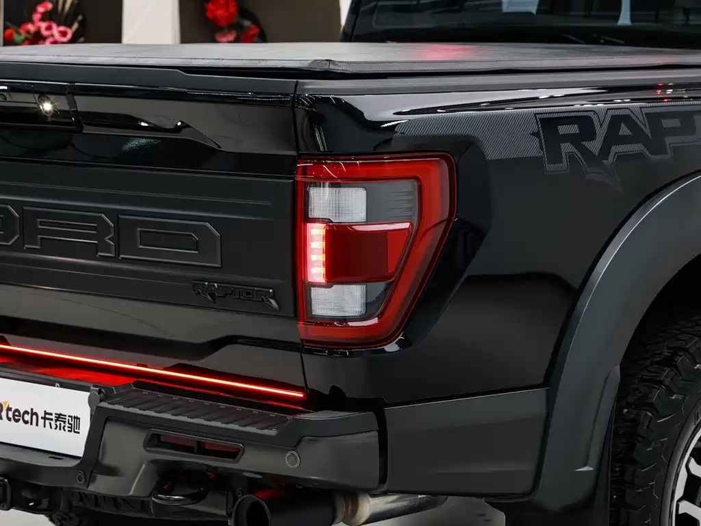 Ford F-150 Raptor 2024 — фото 9