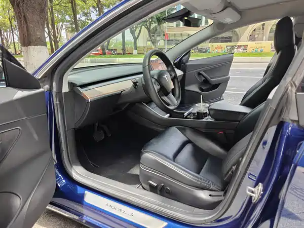 Tesla Model 3 2019