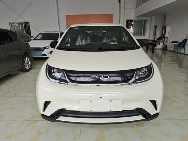 BYD Dolphin 2026