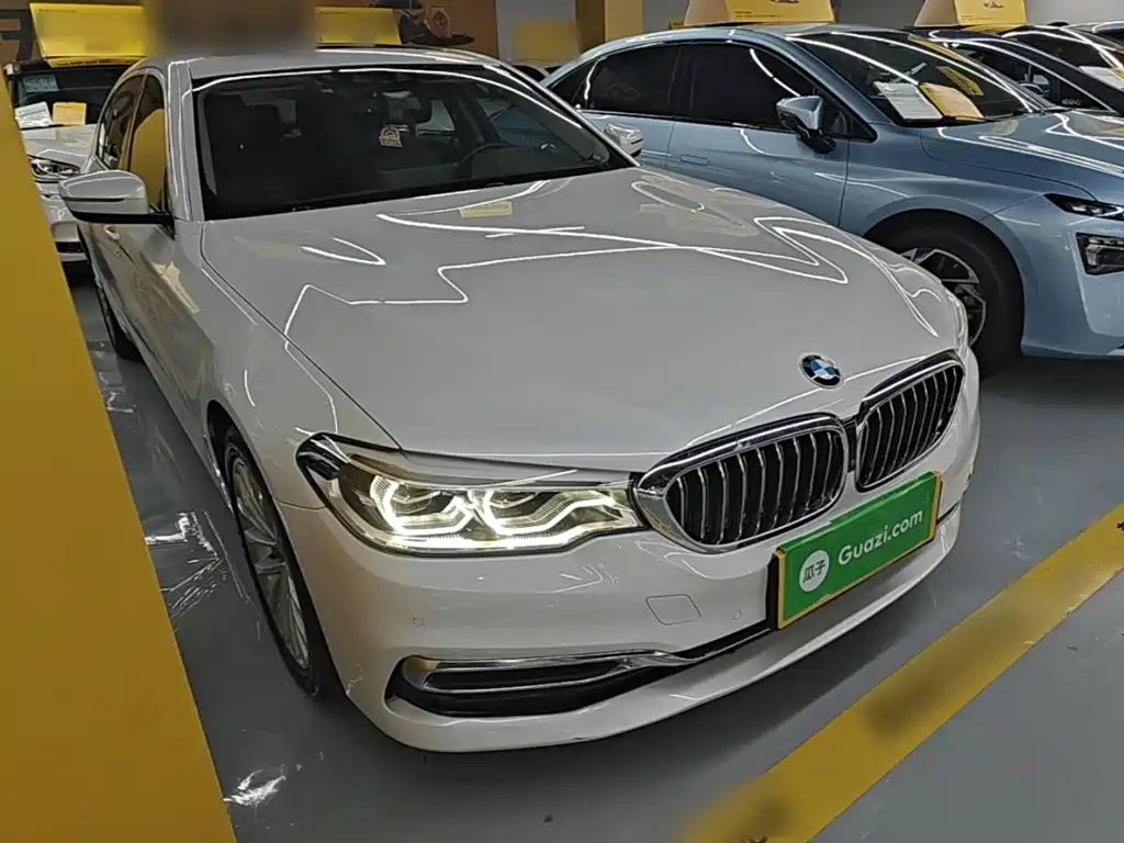 BMW 5 Series New Energy 2020