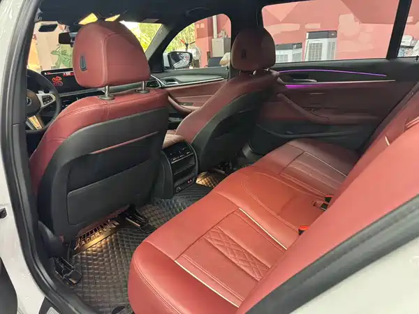 BMW 5 Series 2021