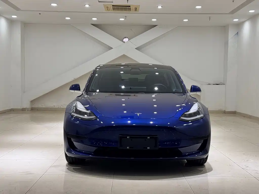 Tesla Model 3 2020 — фото 2