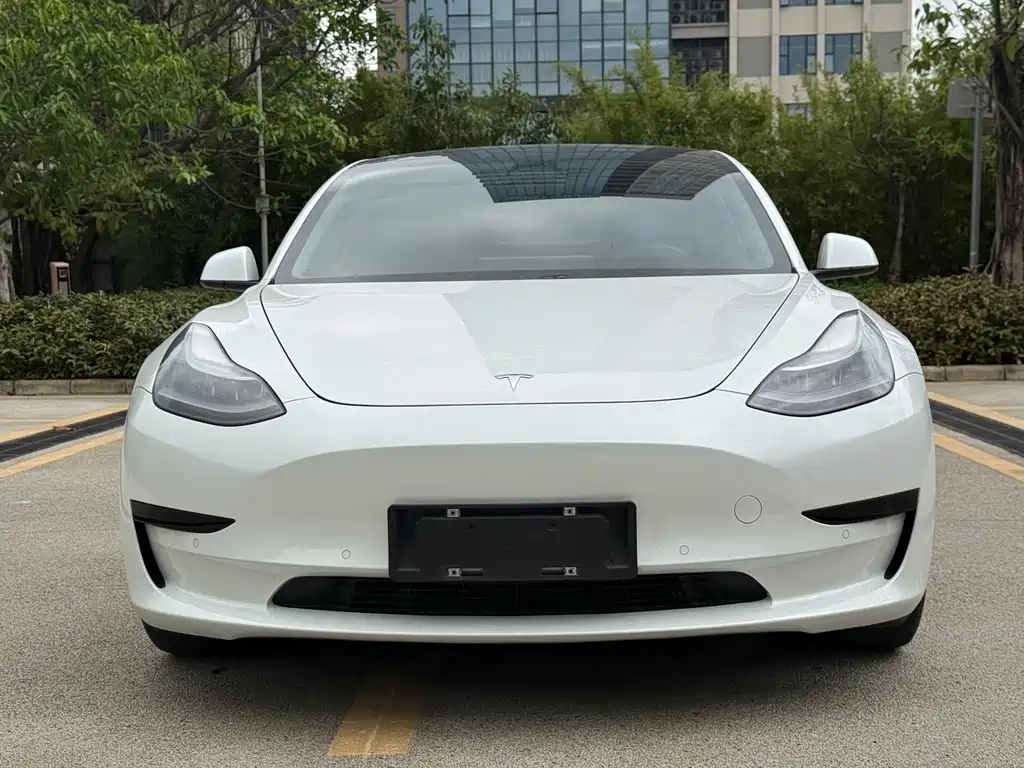 Tesla Model 3 2021 — фото 2