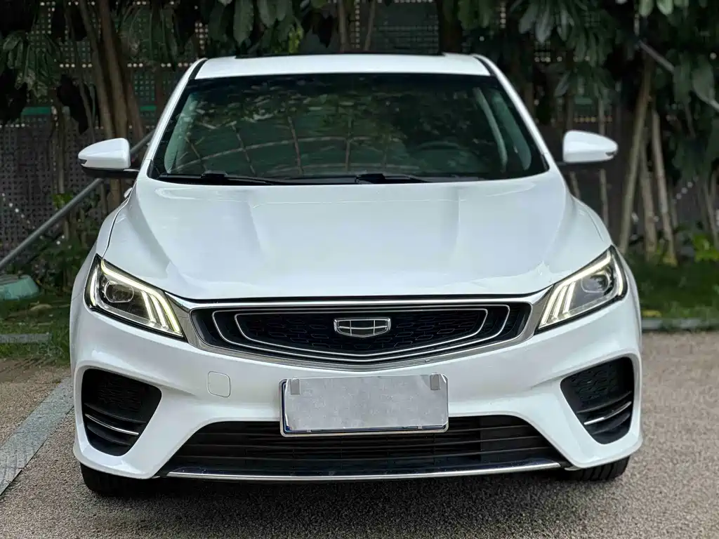 Geely Binrui 2019
