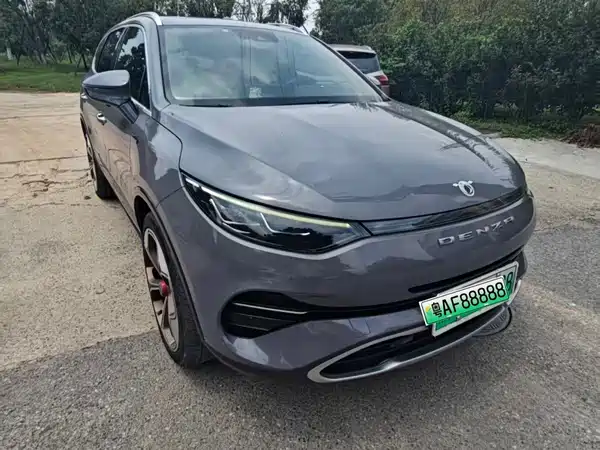 Denza X 2020