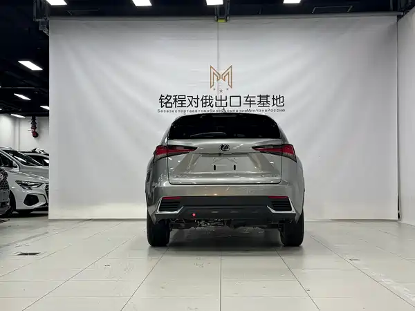 Lexus NX 2020