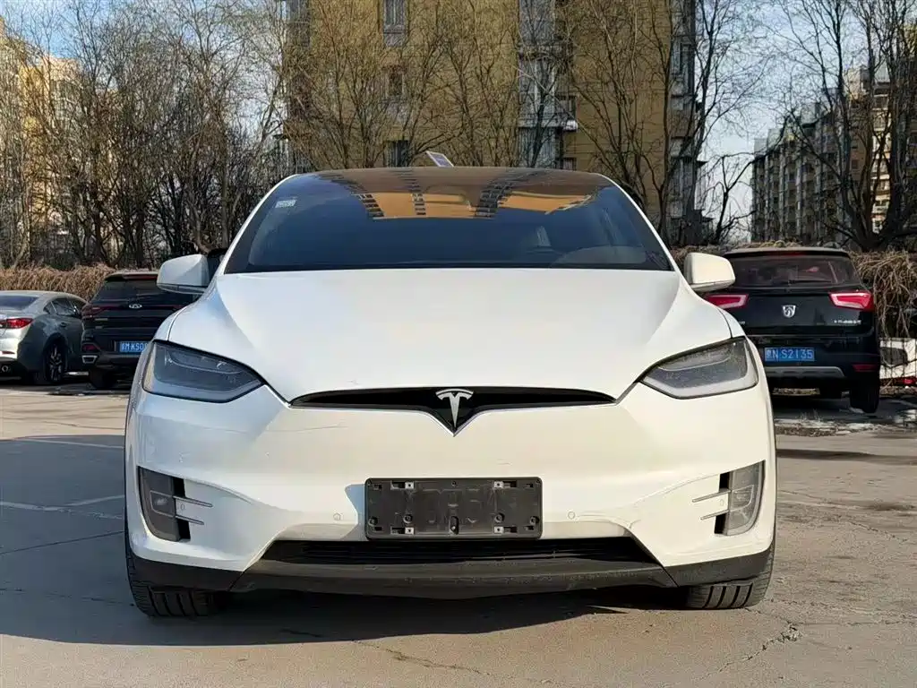 Tesla Model X 2019