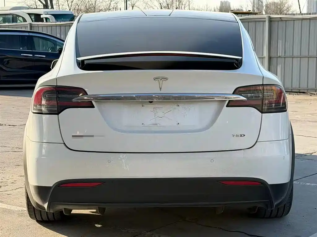 Tesla Model X 2019