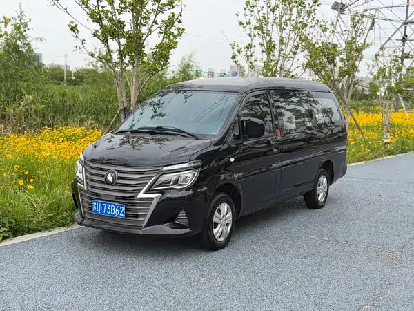 Dongfeng Lingzhi 2022