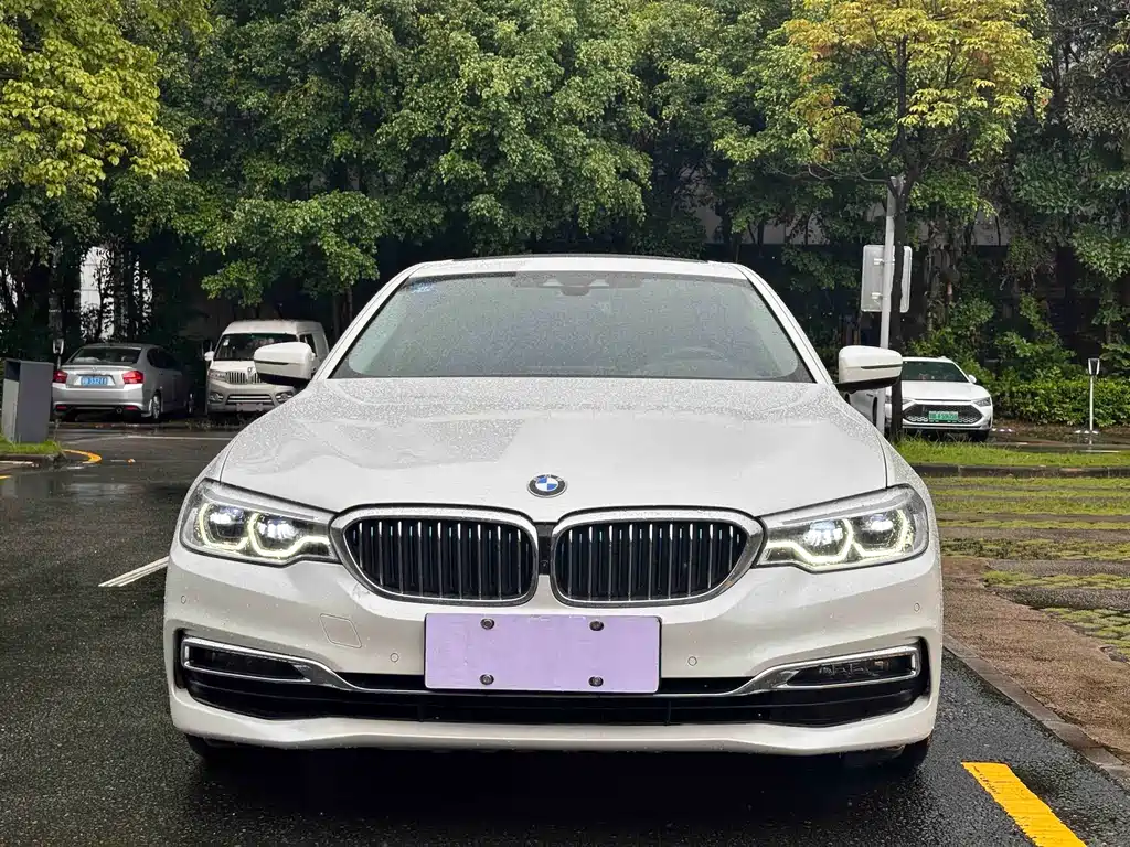 BMW 5 Series New Energy 2020