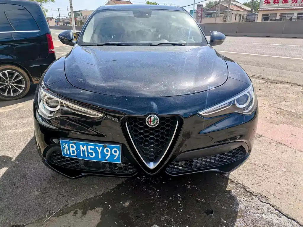 Alfa Romeo Stelvio 2019 — фото 2
