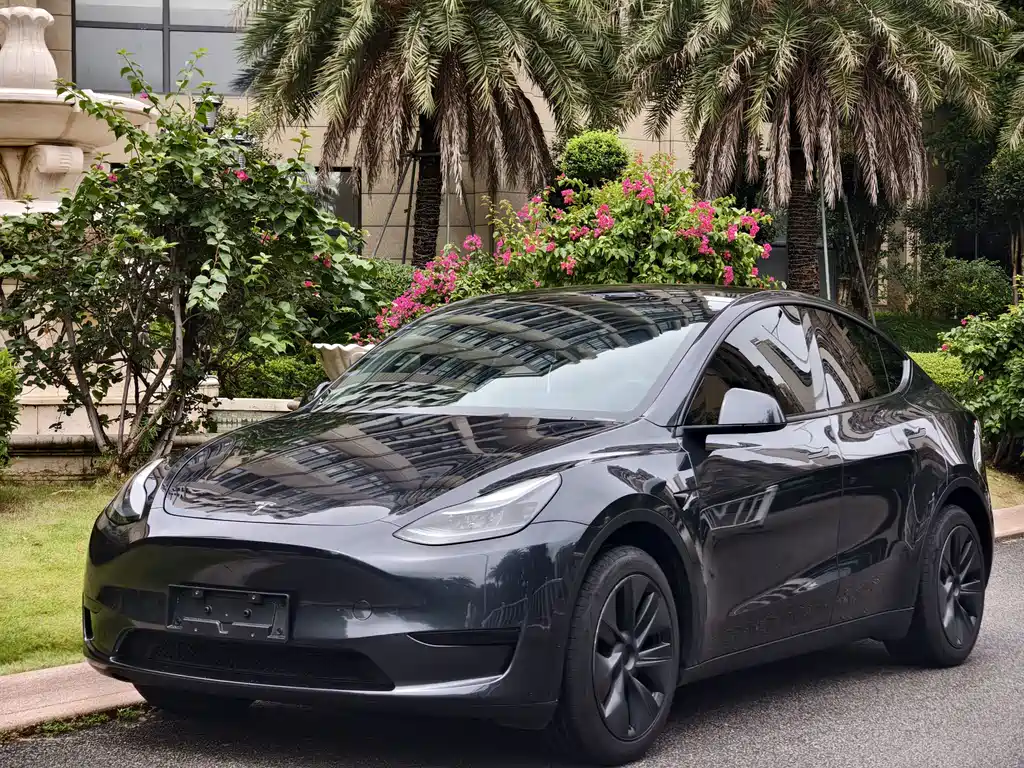 Tesla Model Y 2024 — фото 1