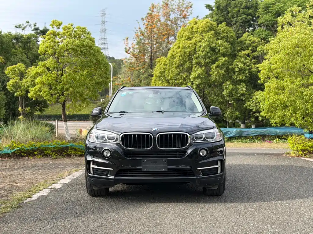 BMW X5 2017
