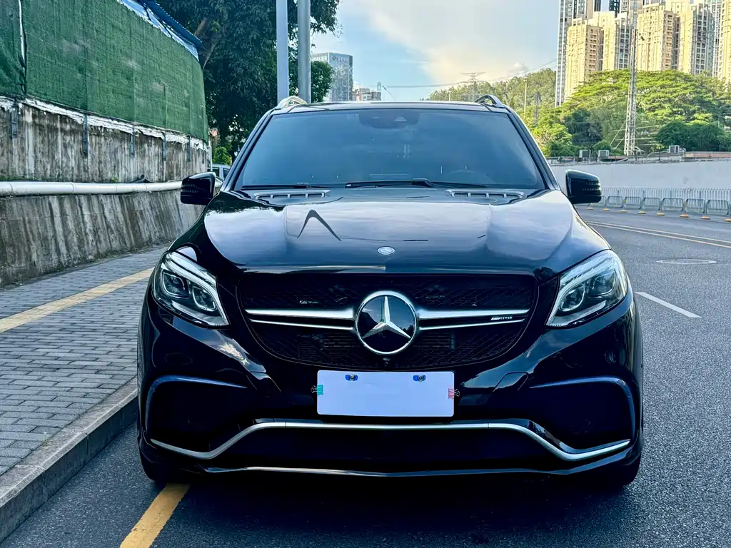 Mercedes-Benz GLE AMG 2016 — фото 2