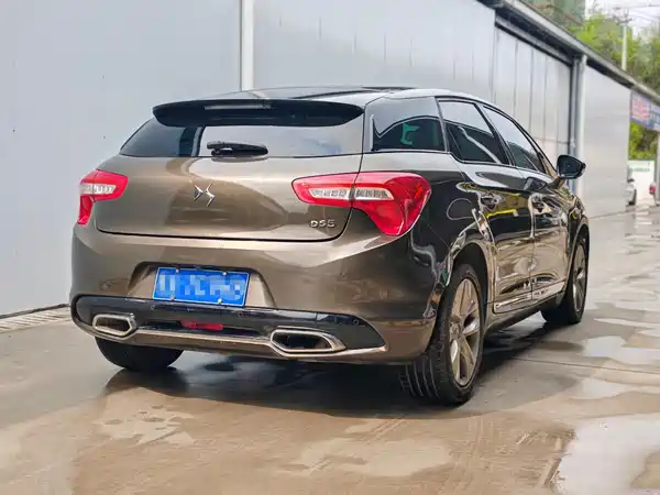 DS 5 2013