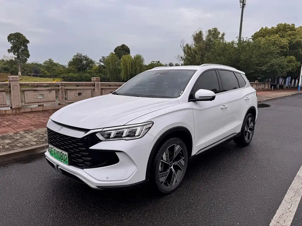 BYD Pro New Energy 2024 — фото 2