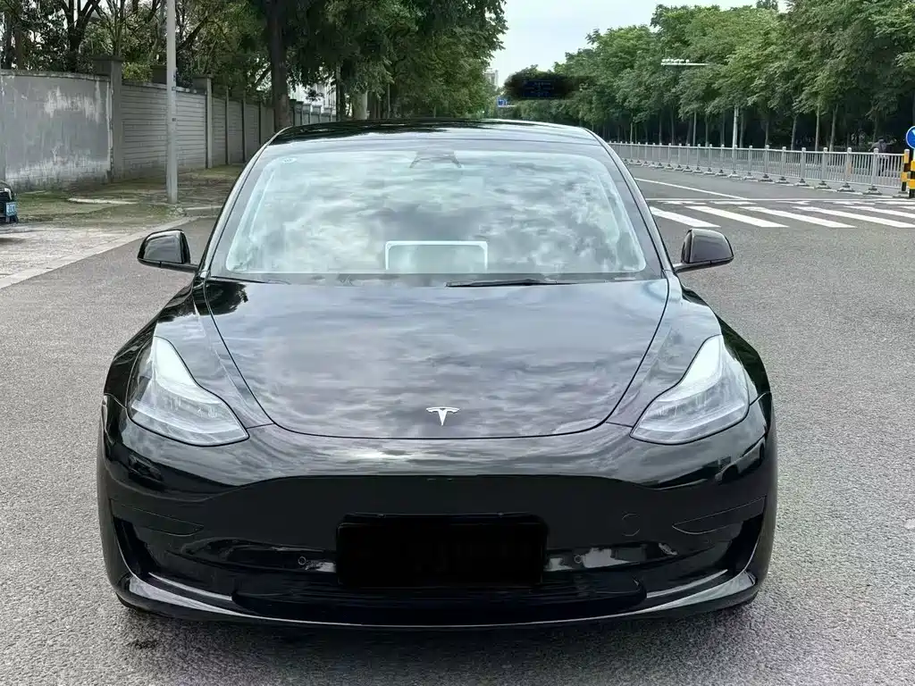 Tesla Model 3 2022 — фото 2