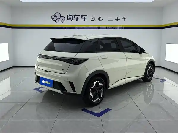 BYD Dolphin 2023