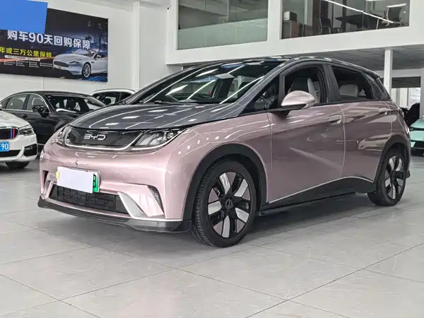 BYD Dolphin 2022