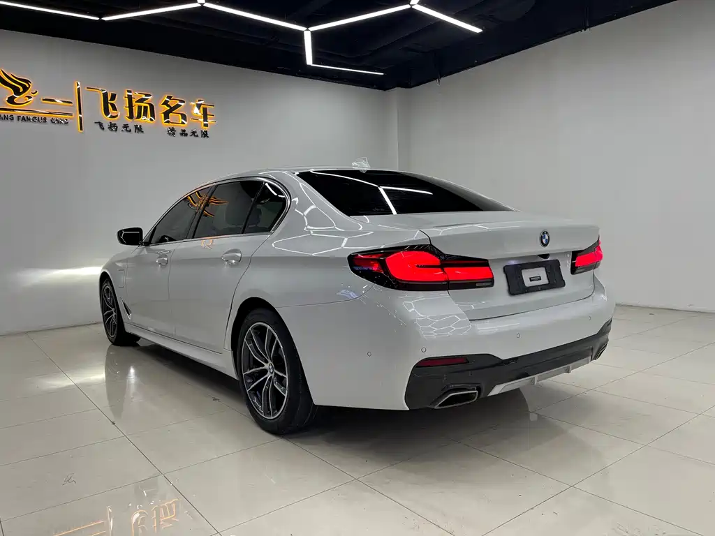 BMW 5 Series New Energy 2021 — фото 15