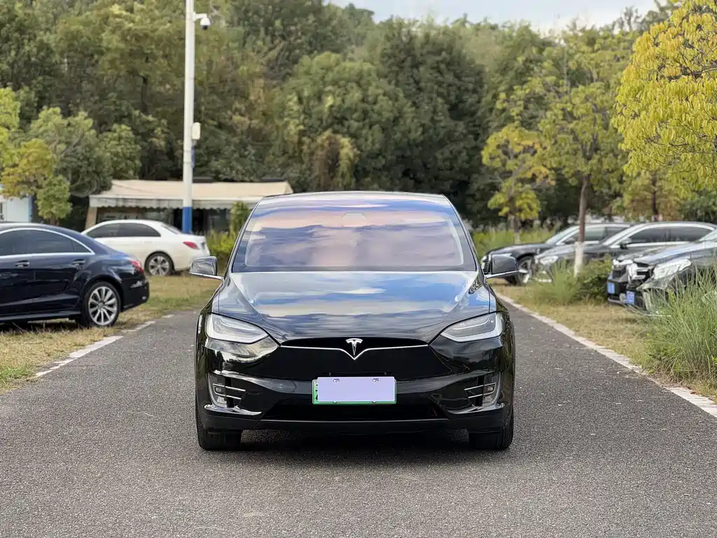 Tesla Model X 2018 — фото 2