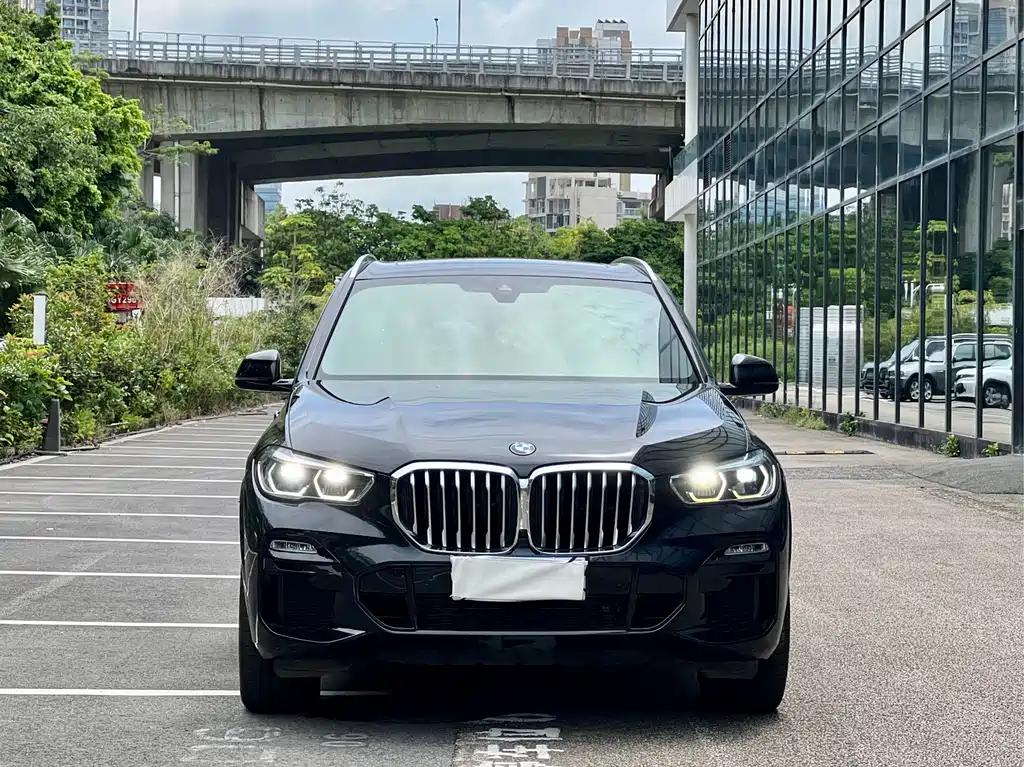 BMW X5 2019