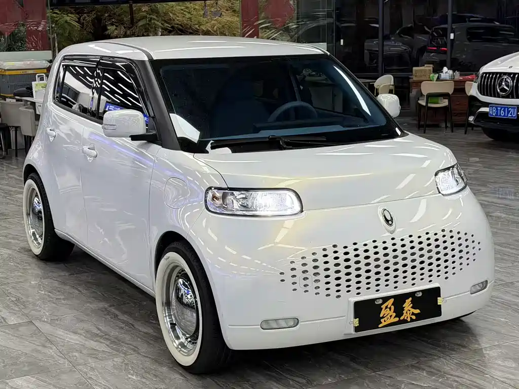 Ora White Cat 2022