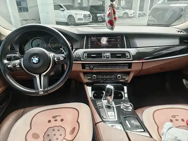 BMW 5 Series 2014