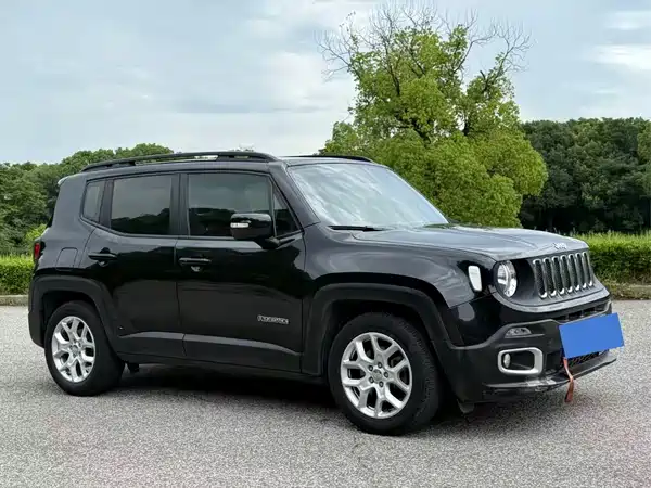 Jeep Freeman 2017