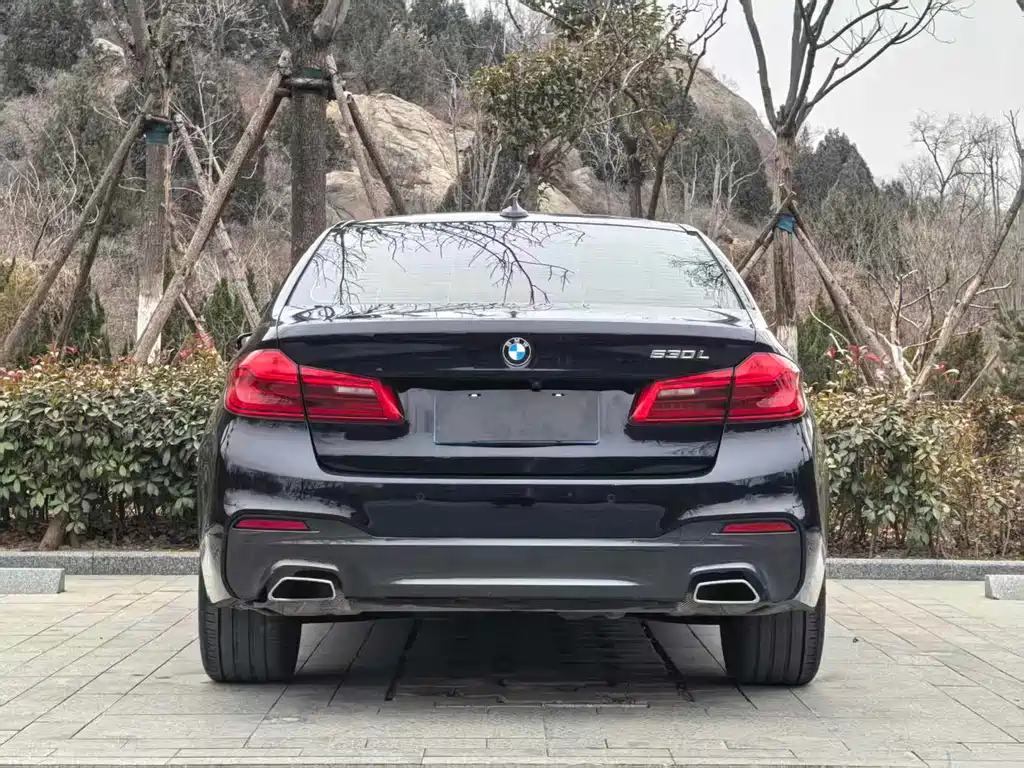 BMW 5 Series 2019