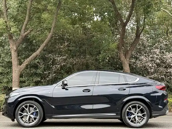 BMW X6 2023